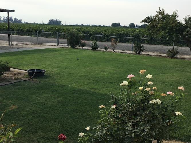 Pet boarding service 4 Paws Country Inn Fresno