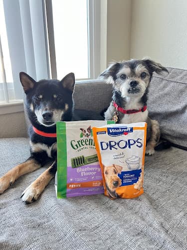 Pet boarding service Aborn Pet Clinic San Jose