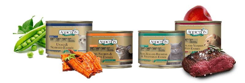 Pet boarding service Addiction Foods LLC Kent