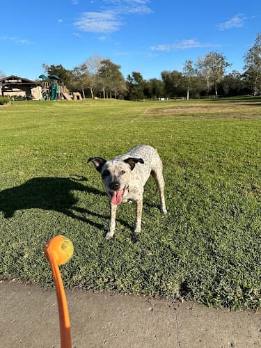 Pet boarding service Advanced Veterinary Specialists Santa Barbara