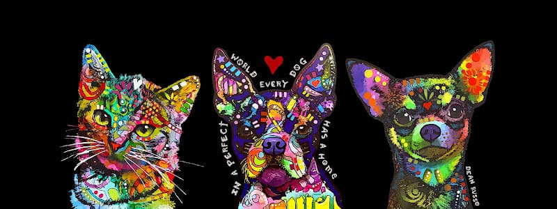 Pet boarding service All God's Creatures Teaching Hospital & Surgery Center El Cajon