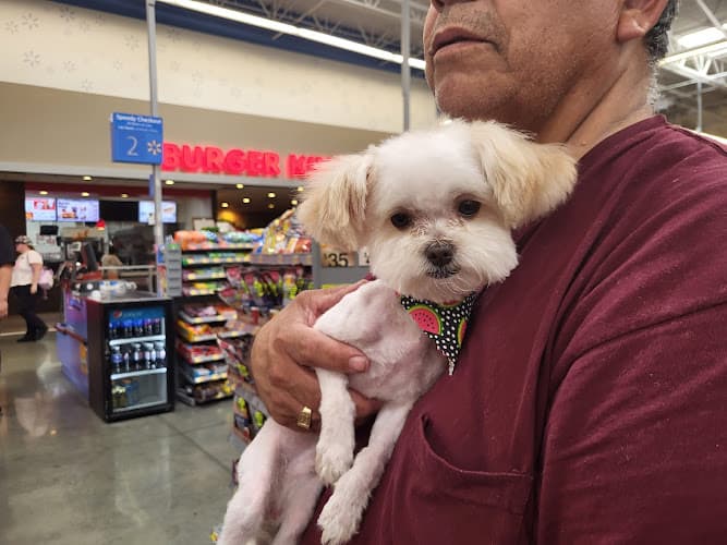 Pet boarding service All Paws In Pet Salon Rialto