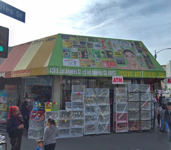 Pet boarding service Al's Pet Supplies Los Angeles