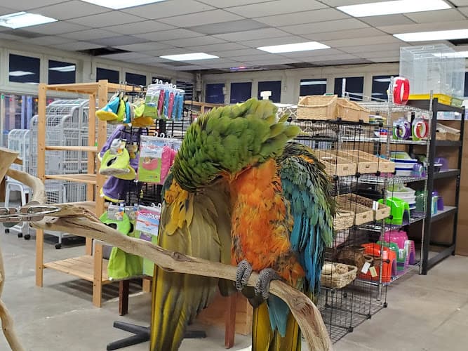 Pet boarding service Andy's Pet Shop San Jose