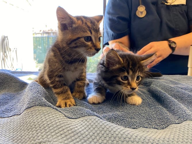 Pet boarding service Animal Care Clinic Tacoma