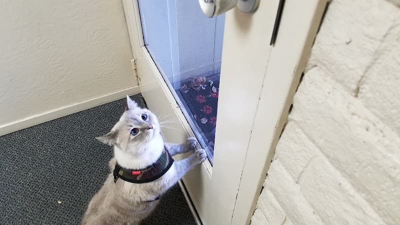 Pet boarding service Aragon Veterinary Clinic Inc San Mateo