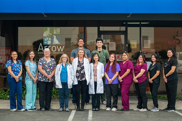 Pet boarding service Arrow Dog And Cat Hospital Ontario