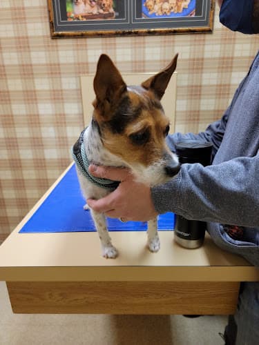 Pet boarding service Audubon Veterinary Clinic Spokane