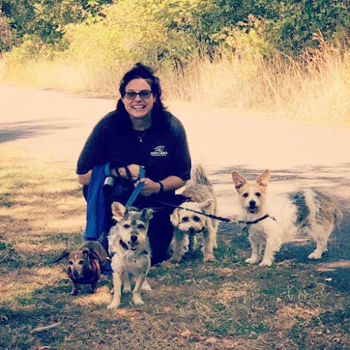 Pet boarding service Aunty Min's Specialized Pet Seattle