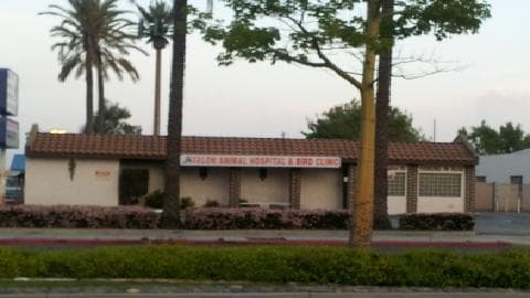 Pet boarding service Avalon Animal Hospital & Bird Clinic - Sanathara Rajendra DVM Carson