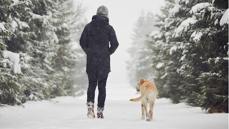 Pet boarding service Banfield Pet Hospital Irvine