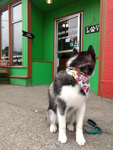Pet boarding service Bark In Style Seattle