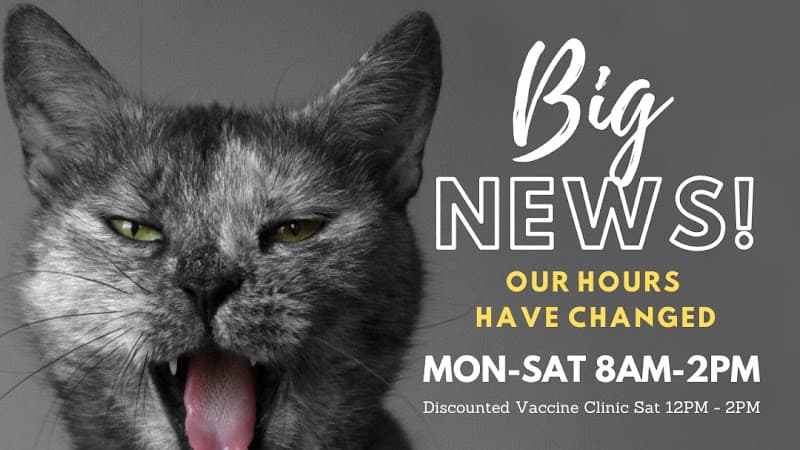 Pet boarding service Bastet Cat Hospital, inc. Burbank