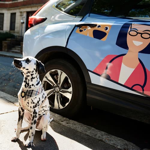 Pet boarding service BetterVet Eugene, Mobile Vet Care Eugene