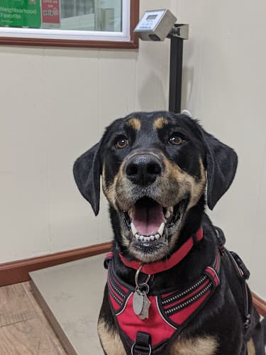 Pet boarding service Blue Cross Pet Hospital San Francisco