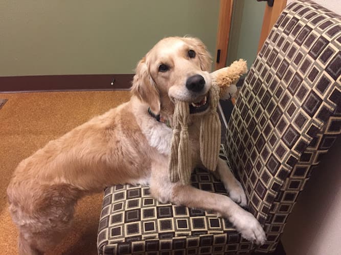 Pet boarding service Blue Sky Veterinary Clinic Bend