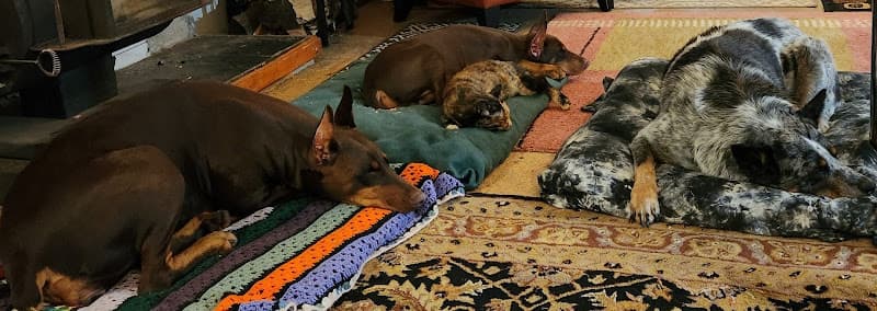 Pet boarding service BluePearl Pet Hospital Portland