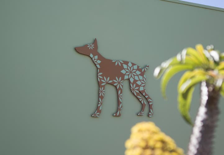 Pet boarding service Bodhi Animal Hospital, A Thrive Pet Healthcare Partner San Diego