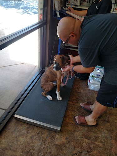 Pet boarding service Brentwood Family Pet Care Antioch