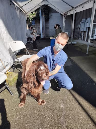 Pet boarding service Broadway Veterinary Clinic Portland