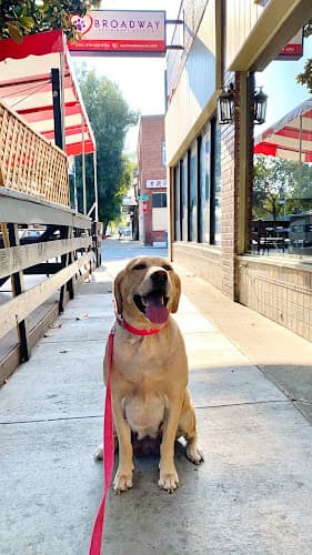 Pet boarding service Broadway Veterinary Hospital Sacramento