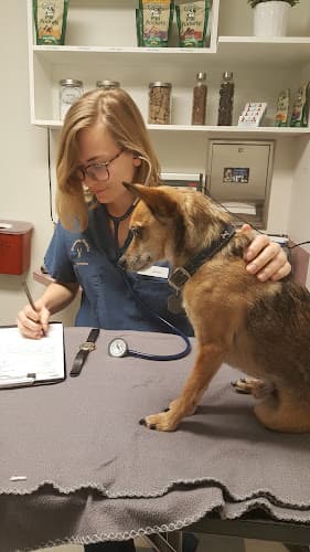 Pet boarding service Broadway Veterinary Hospital Seattle