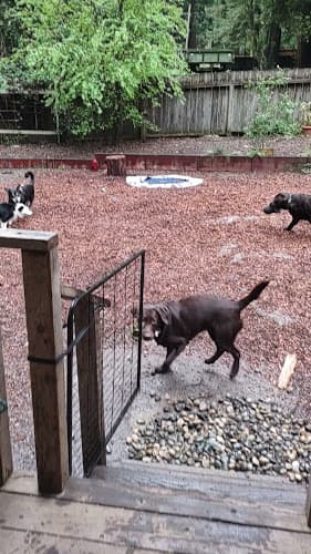 Pet boarding service Brooktails Pet Care San Jose