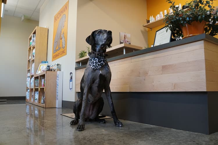 Pet boarding service Buckman Veterinary Clinic Portland