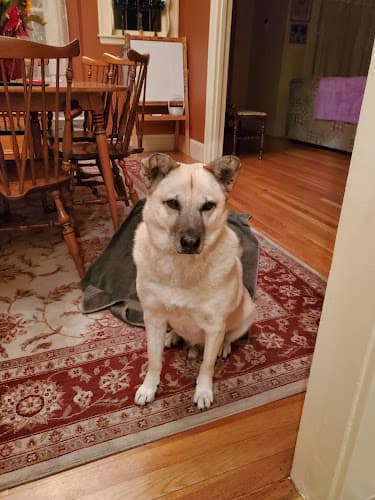 Pet boarding service Burbank Pet Hospital San Jose