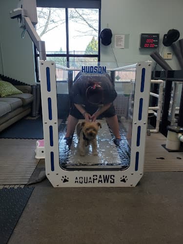 Pet boarding service Cascade Park Animal Hospital Vancouver