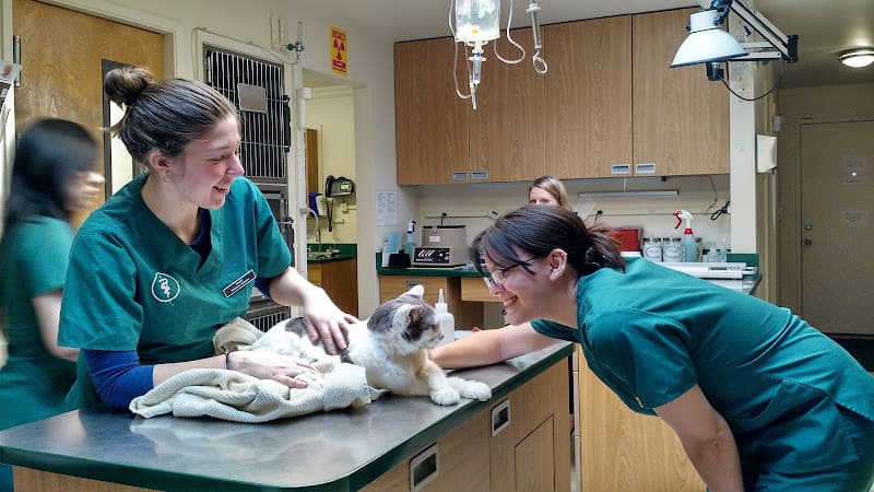 Pet boarding service Cat Clinic of Seattle Seattle