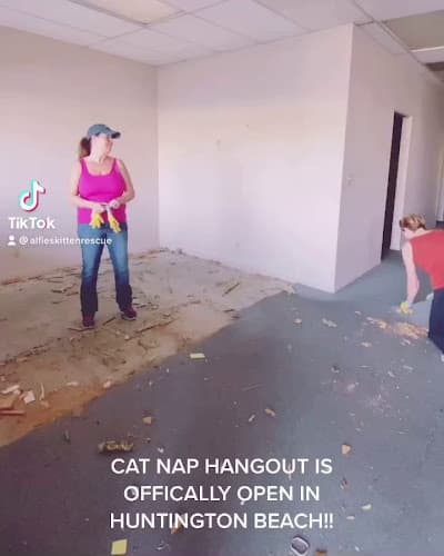 Pet boarding service Catnap Hangout & Adoptions Huntington Beach