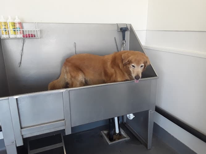 Pet boarding service Centinela Feed & Pet Supplies Fullerton