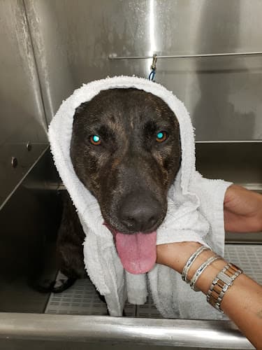 Pet boarding service Centinela Feed & Pet Supplies Los Angeles