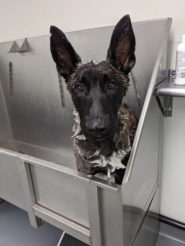 Pet boarding service Centinela Feed & Pet Supplies Los Angeles