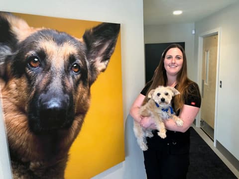 Pet boarding service Central Oregon Animal Hospital Bend