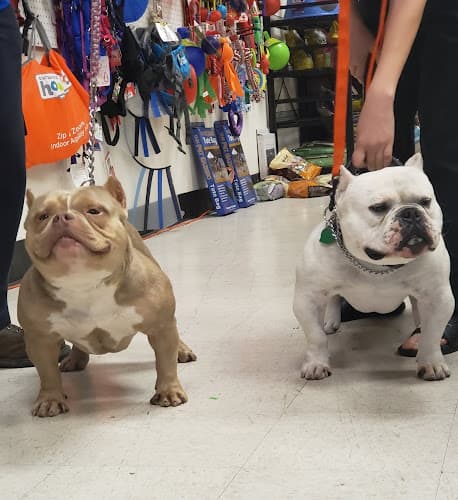 Pet boarding service Champion Pet Supply Tacoma