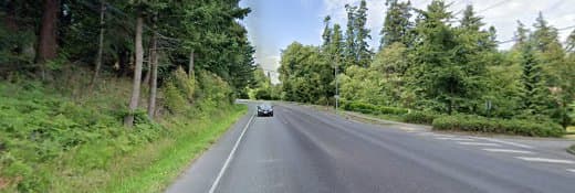 Pet boarding service Chuckanut Retrievers Bellingham