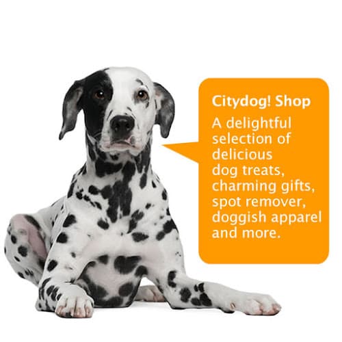 Pet boarding service Citydog! Club Seattle