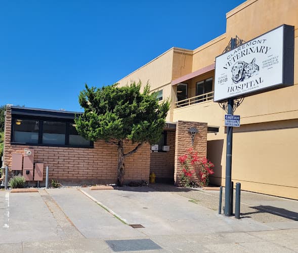 Pet boarding service Claremont Veterinary Hospital Oakland