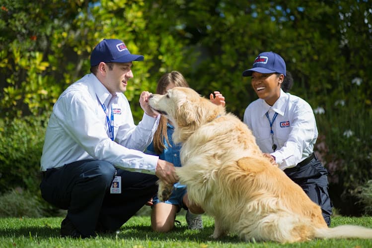 Pet boarding service Clark Pest Control Chico