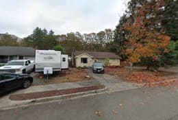 Pet boarding service Classy Staffys Staffordshire Bull Terriers Tacoma