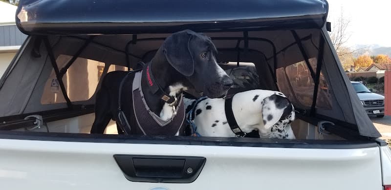 Pet boarding service Clayton Valley Pet Hospital Concord