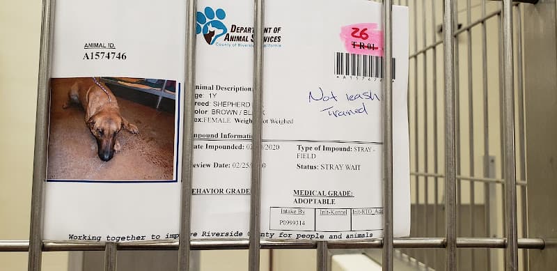 Pet boarding service Coachella Valley Animal Campus Moreno Valley