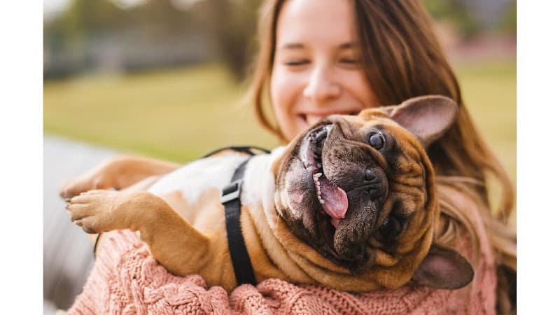 Pet boarding service Commencement Bay Animal Hospital Tacoma