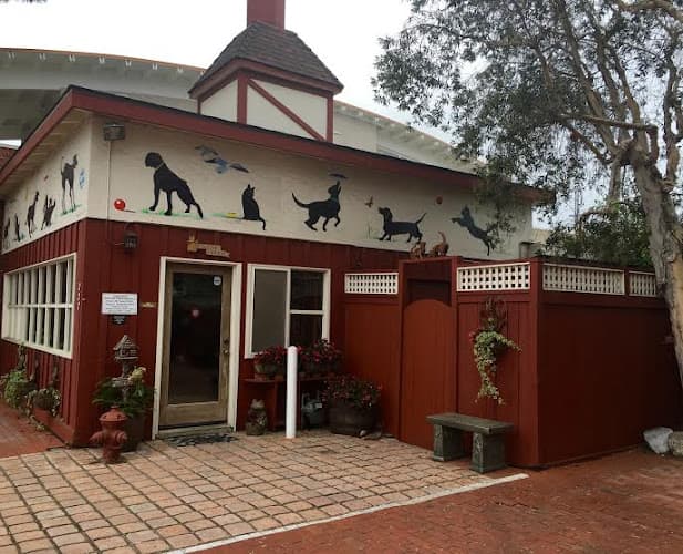 Pet boarding service Companion Pet Care Carlsbad