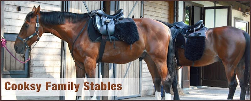 Pet boarding service Cooksy Family Stables San Jose