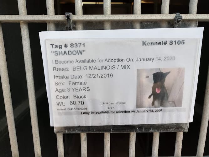 Pet boarding service County of San Diego Department of Animal Services San Diego