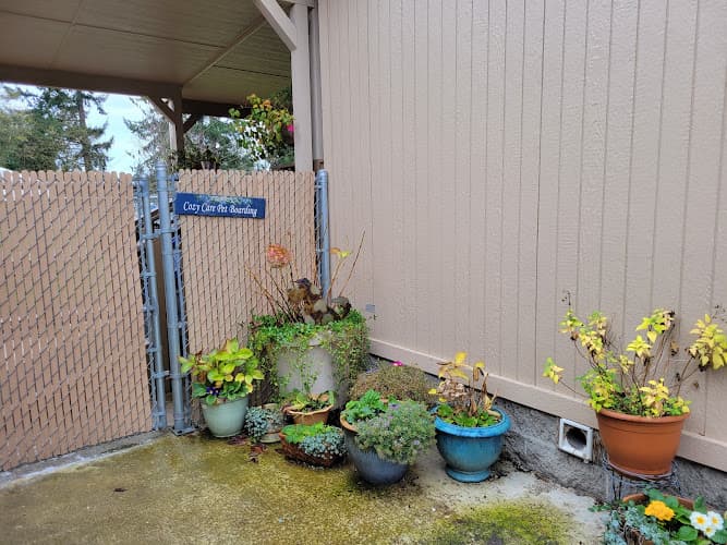 Pet boarding service Cozy Care Pet Boarding Kent
