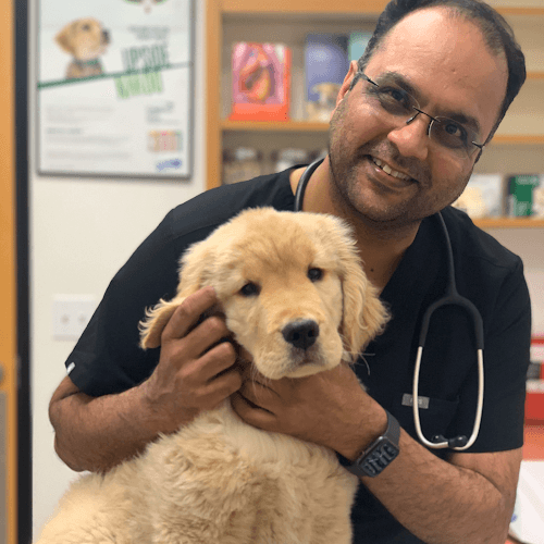 Pet boarding service Curtner Pet Clinic & Hospital San Jose